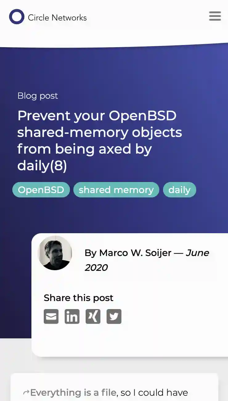 Prevent your OpenBSD shared-memory objects from being axed by daily(8)